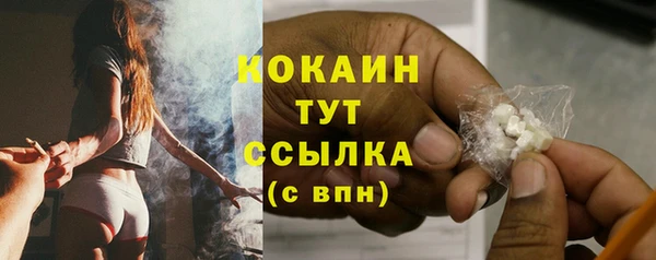 соль ск Новозыбков