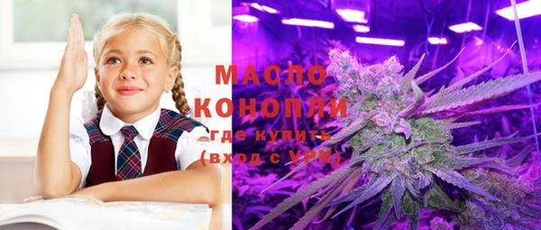 соль ск Новозыбков