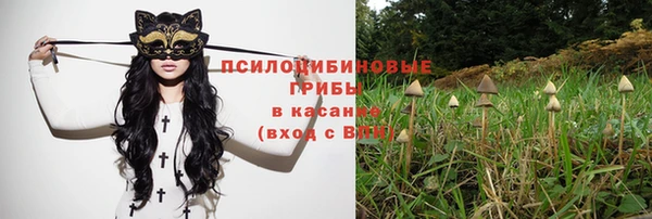 прущая мука Нязепетровск