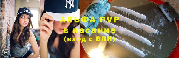 спиды Новодвинск