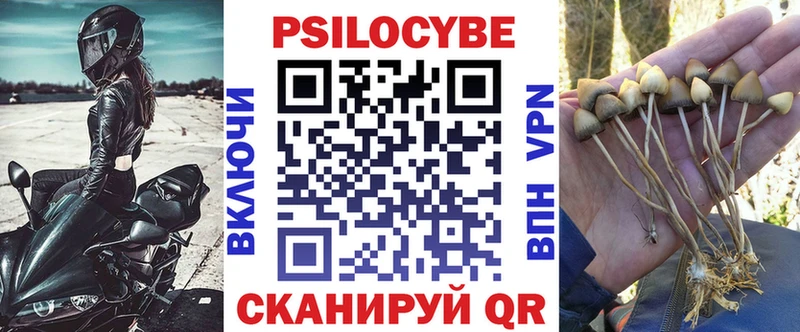 hydra маркетплейс  Татарск  Псилоцибиновые грибы мицелий  где найти  