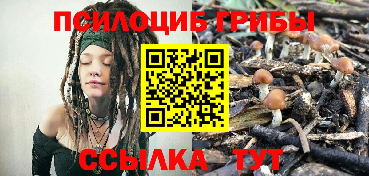 Псилоцибиновые грибы Psilocybine cubensis Татарск